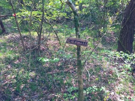 さっきの分岐のところに戻り、鬼ヶ島を登る