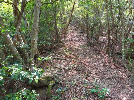 鬼ヶ島への登りはかなりの急登続きで息切れ状態だった
