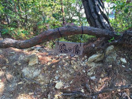 鬼ヶ島(580m)に到着。このプレートだけだった。鬼ヶ島なんだから、せめて鬼のお面とか木に巻きつけておいてほしかった・・・そもそも山やのになんで島やねん！