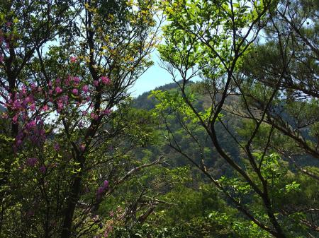 次行く水無山が見えた