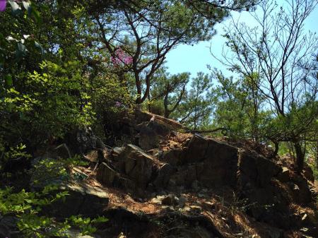 水無山のピーク手前になにやら展望がよさそうな場所があった。しかもここまで意外にも早かった