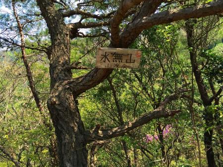 水無山(656m)に到着