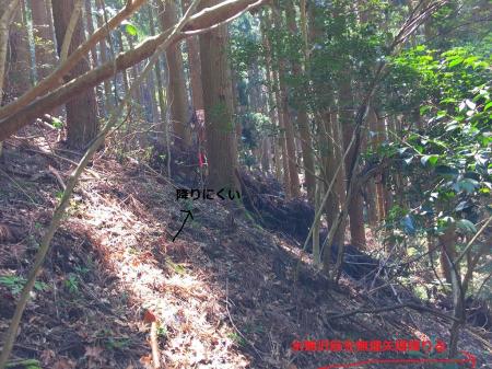 谷の下りはぐちゃぐちゃに荒れていた。ピンクのテープが巻いてあったがあてにならなず。水無しの沢筋のようなところを少し無理矢理降りる