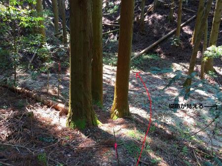 降りたところに少し広くなったところがある（右手に堤防が見える）。さっきの地図では左手の谷を登る。