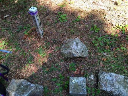 逢ヶ山の三角点だが埋まりすぎていた感じだったｗ