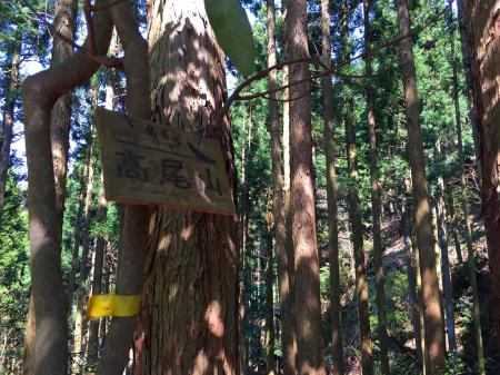 仏谷峠に戻り、高尾山へ向かう