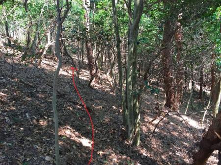 高尾山と湯槽谷山のちょうどコル部あたりは荒れていてルート見失いやすいが、とにかく左へ向かいの尾根の取次へ行けばＯＫ