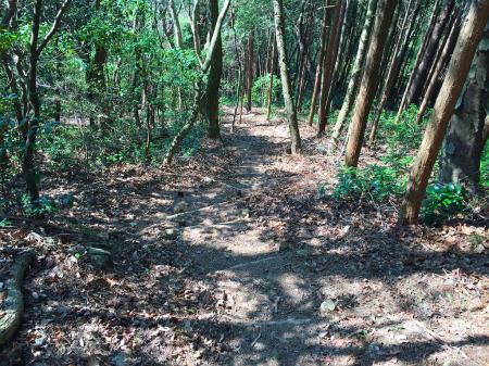 続いて灰形山へ向かう。湯槽谷山から標高差200mほどの長く急な下りが続く