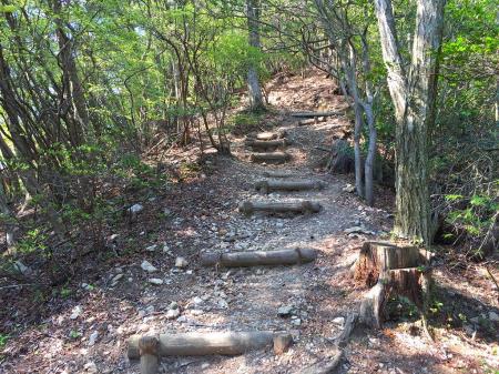 灰形山へ向かうが今までのルートと違い、縦走路はきっちり整備されている。整備されてるルートって素晴らしいと思う一瞬だった