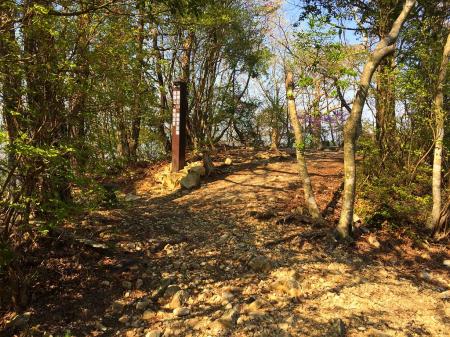 ちょっとアップダウン続きでこの登りは疲れた感じだが、ピークに着いたようだ