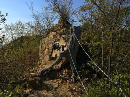 危なそうだなって思ったのはこの辺だけだったかも