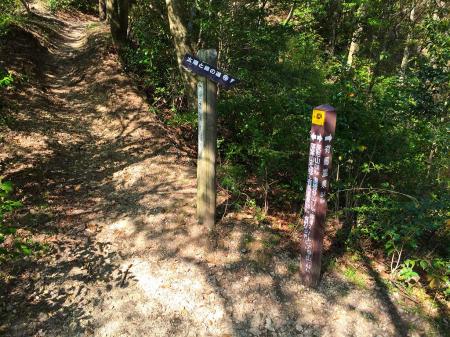 ここから最後の落葉山への登りになる