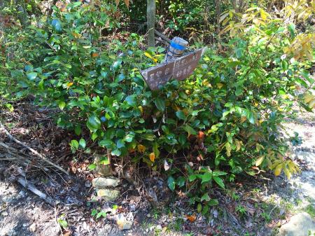 展望台は地図みるとすぐっぽかったのでちょい寄り道した