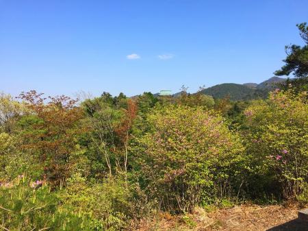 う～ん、樹林が邪魔であまり見えないかも