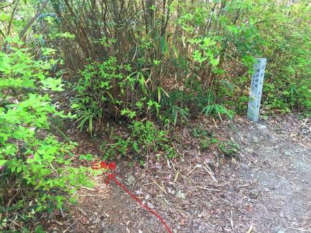 戻って落葉山へ登っていたところ、変なところに頂上表記があった。しかも手前の奥に三角点広場が・・・
