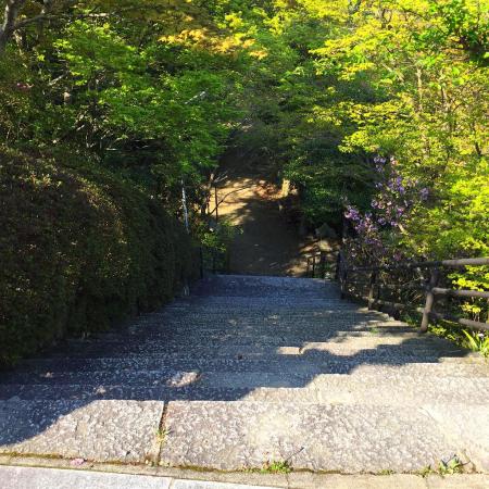 ここからは参道ぽい階段の連続が続く