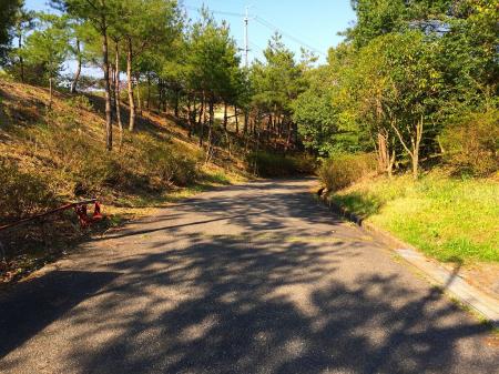 道路にでて、これから舗装道を歩いていく