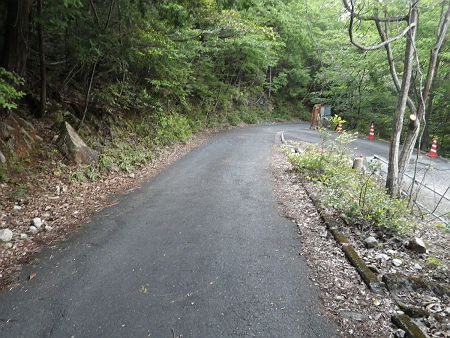 まずは道路を下っていく