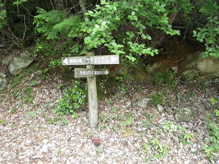 ここのハイキングコースからキャンプ場を経て登山道に入ることにした