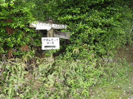 第２キャンプ場のほうへ向かうのだが、これが仇となってしまうことに後で気づかされる