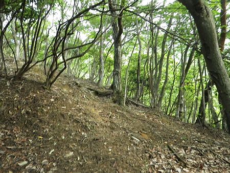 ここで尾根に取り次いだ。この尾根はテープがあるし、キャンプ場横の尾根だからこれを登っていくので間違いないだろうと思った。ところがこの尾根はかなり急登で地図と地形が合ってないことに気がつく