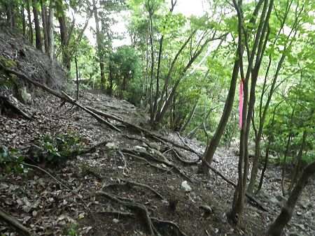 せっかく標高450m地点くらいまで尾根登ったのに、それを下って沢筋に出るとピンクテープがあった