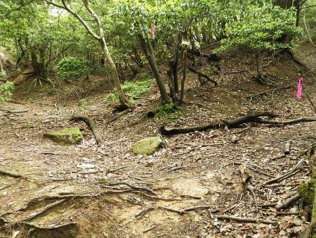ここで分岐。左へ登ると滝山へ行く。方角的に考えても牛山は右で正解