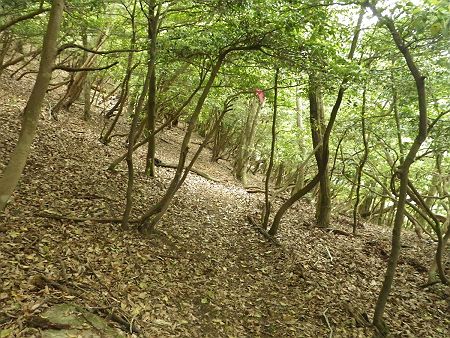 ここからはトラバースルートになって、なだらかなので有難い