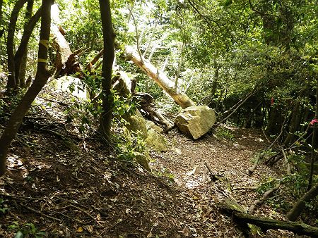 ここでトラバースルートが行き止まりになっている。右へ下っていくと鳶岩なのはわかるが、牛山へ登るルートがない
