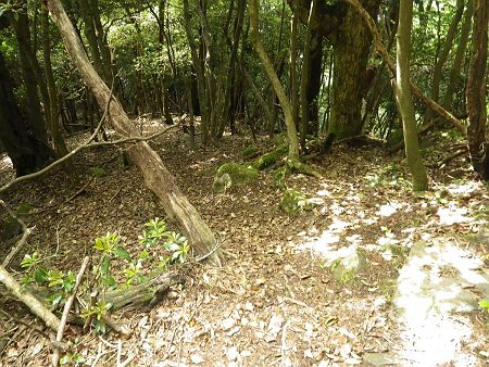 写真では伝わりにくいけど鳶岩への下りはかなりの急斜面を下ることになる。登り返すことを考えると嫌な感じだ