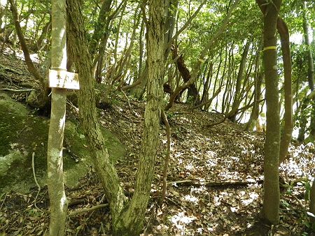 鳶岩からルートに戻って少しトラバースルートを少し戻ったところにプレートがあった。ここが登り口だったみたい