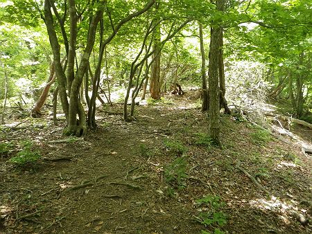 滝山への登りはなだらかなで、既に標高は650mをこえているので滝山は近いはず