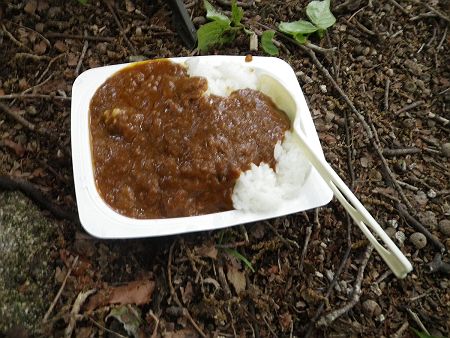ご飯の容器が小さかったけど、なんとかカレールーを入れて食べることにした。カレーライスは美味しかったんだけど、虫が多くて邪魔だった