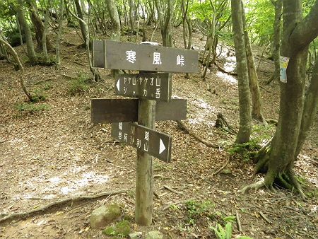寒風峠に到着。ヤケ山に行くかものすごく悩んだけど、アキレス腱の痛みが心配だったので断念して下ることにした