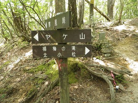 涼峠に到着。やはりアキレス腱の痛みが出てきたのでここで休憩をとることにした。ヤケ山に登らなくて正解だった