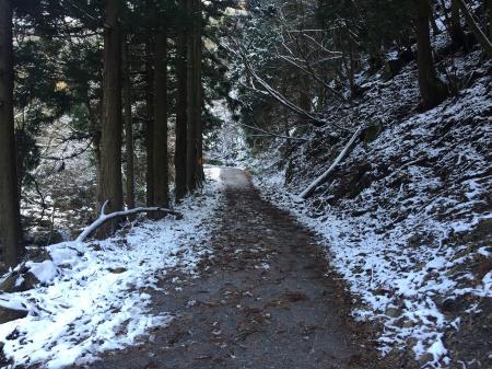 雪が多くなってきた