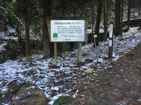 ここで北畑林道終点