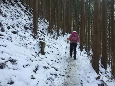 三合目までひたすらこんな道が続く