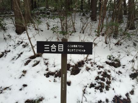 三合目(標高700m)