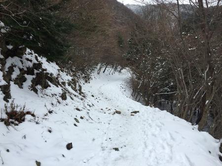 三合目から林道のようなところを少し歩く