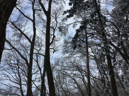 青空がでてきた！？