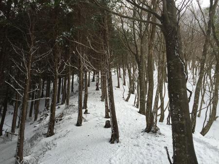冬季ルートは尾根の直登になるが、画像で伝えきれないが山頂手前まで急登が続く