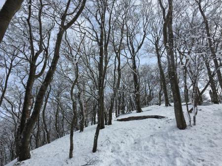 おぉ！青空がひろがってきた
