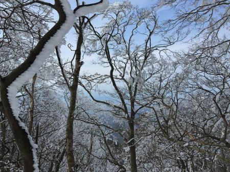 ちょい樹氷あり、エビの尻尾と青空