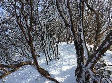 青空の下、いい感じの雪道だった