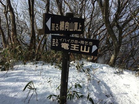 ここで登山道と出会う