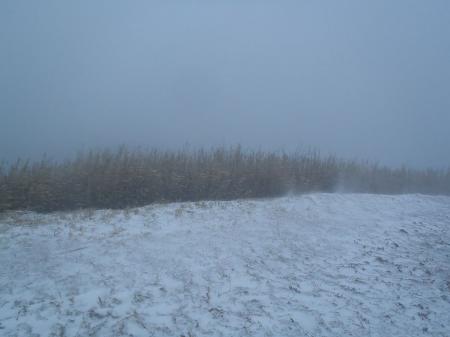風が強いし、顔に雪があたって痛い