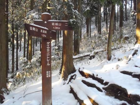 この付近が半分地点。ここから楽になる