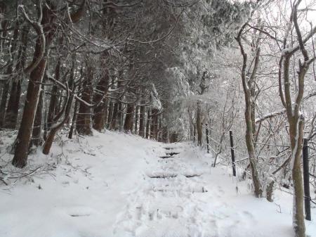 雪が多くなってきた