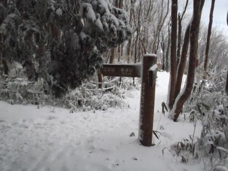 この道標の向こう側が東のテイクオフ場